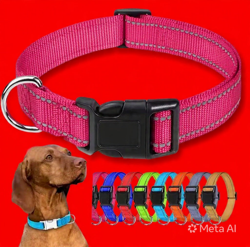 Coller très solide et confortable pour ton chien !