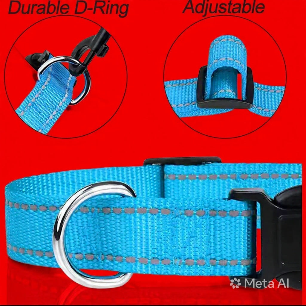Coller très solide et confortable pour ton chien !