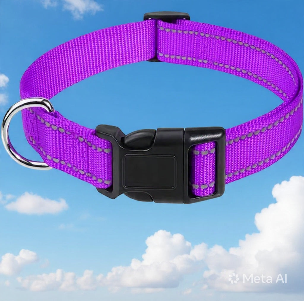 Coller très solide et confortable pour ton chien !