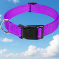 Coller très solide et confortable pour ton chien !