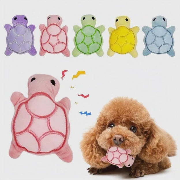 La tortue peluche que tous les chiens adorent ￼