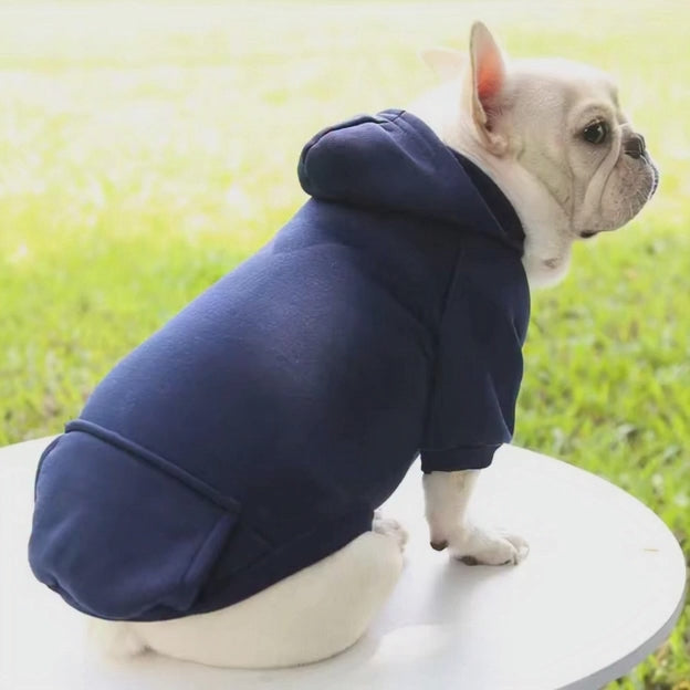 Sweat à capuche ￼ confortable ￼pour chien