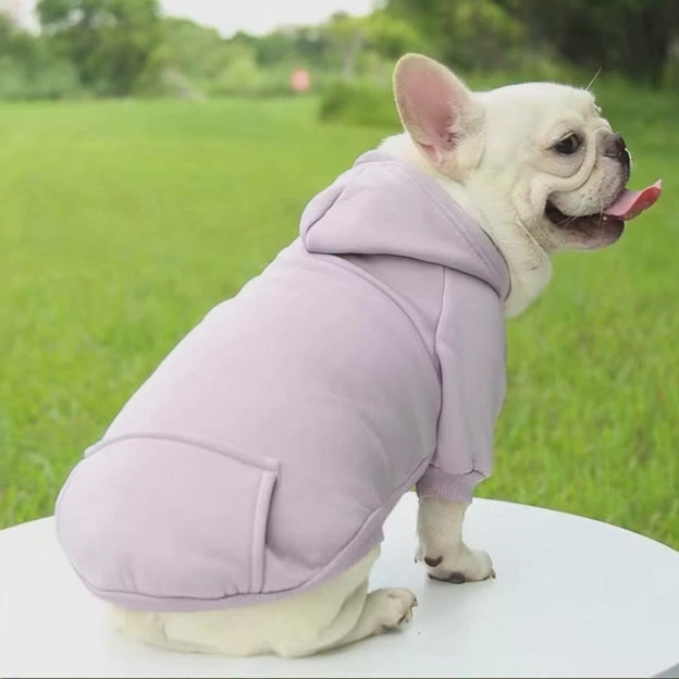 Sweat à capuche ￼ confortable ￼pour chien