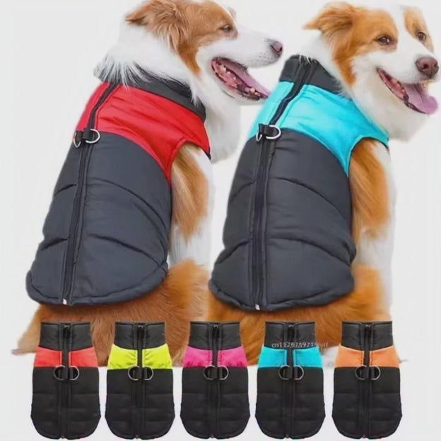 Mon chaud est imperméable pour chien