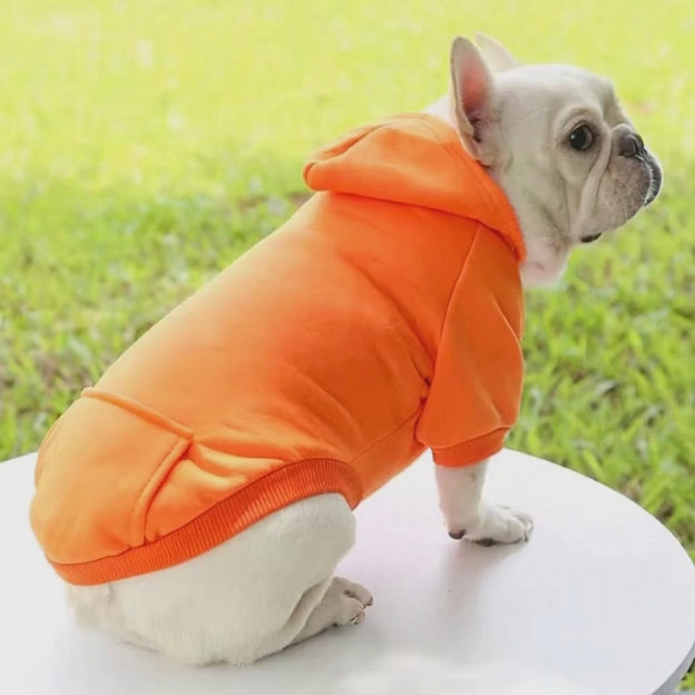 Sweat à capuche ￼ confortable ￼pour chien