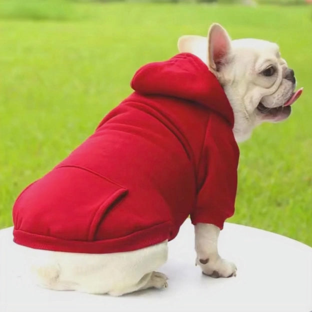 Sweat à capuche ￼ confortable ￼pour chien