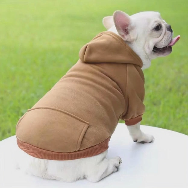 Sweat à capuche ￼ confortable ￼pour chien