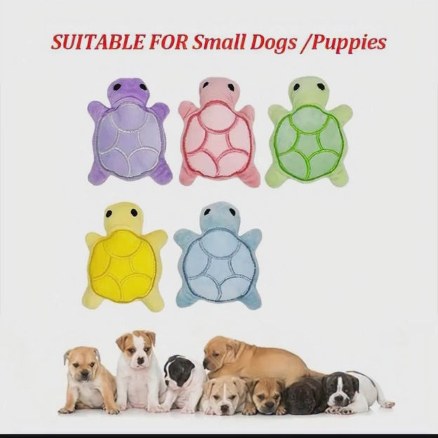 La tortue peluche que tous les chiens adorent ￼