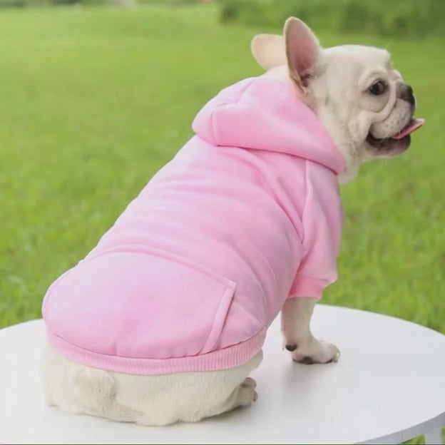 Sweat à capuche ￼ confortable ￼pour chien